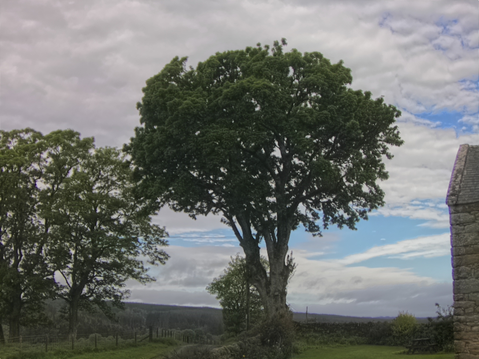 Webcam photo for 09 hrs today