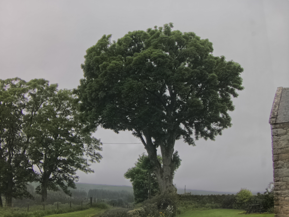 Webcam photo for 07 hrs today