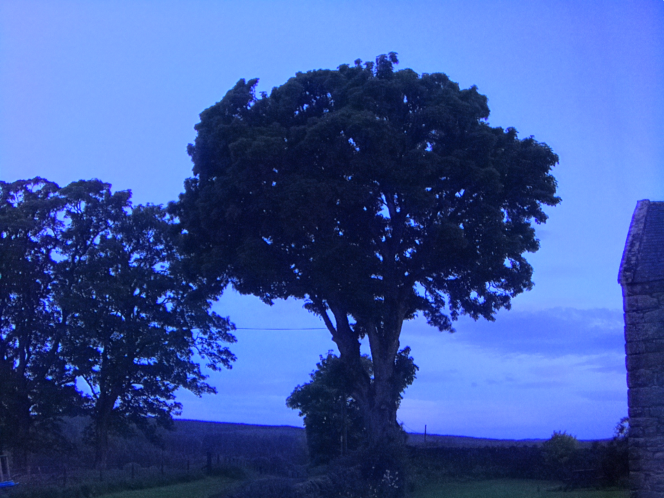 Webcam photo for 04 hrs today