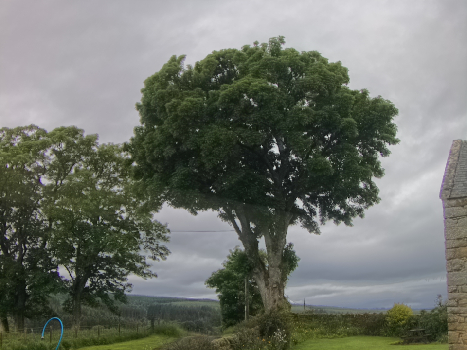 Webcam photo for 08 hrs today