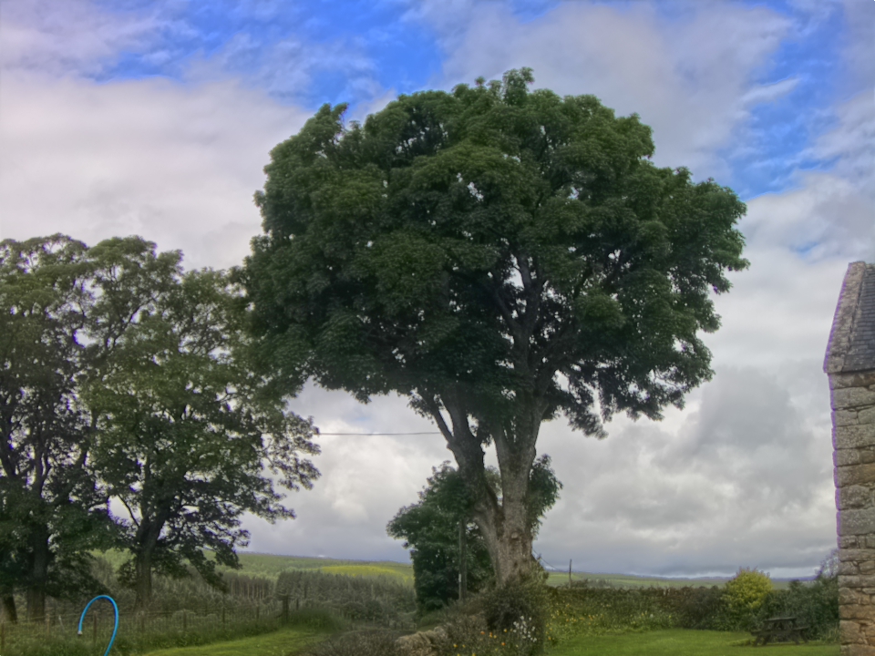 Webcam photo for 09 hrs today