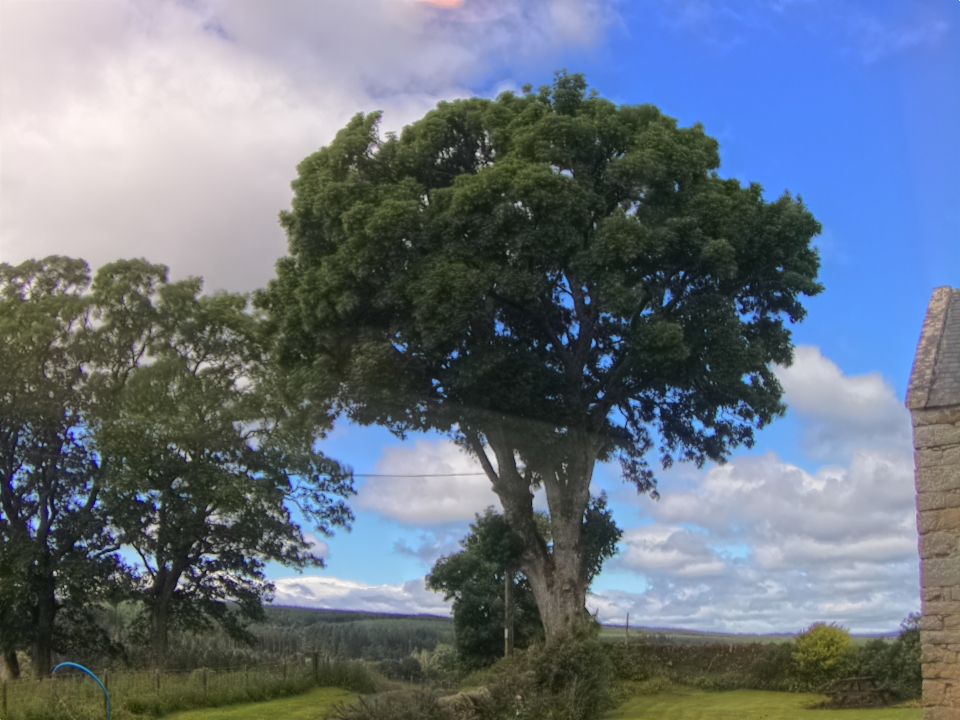 Webcam photo for 12 hrs today