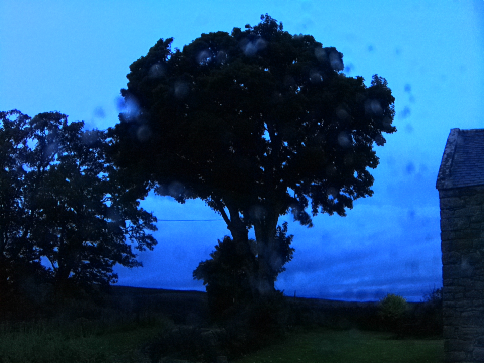 Webcam photo for 06 hrs today