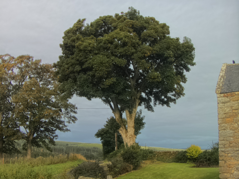 Webcam photo for 08 hrs today