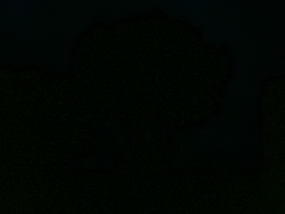 Webcam photo for 06 hrs today