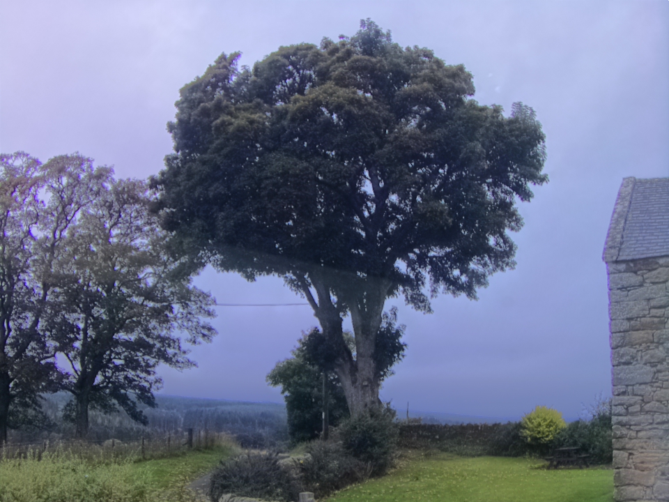 Webcam photo for 07 hrs today