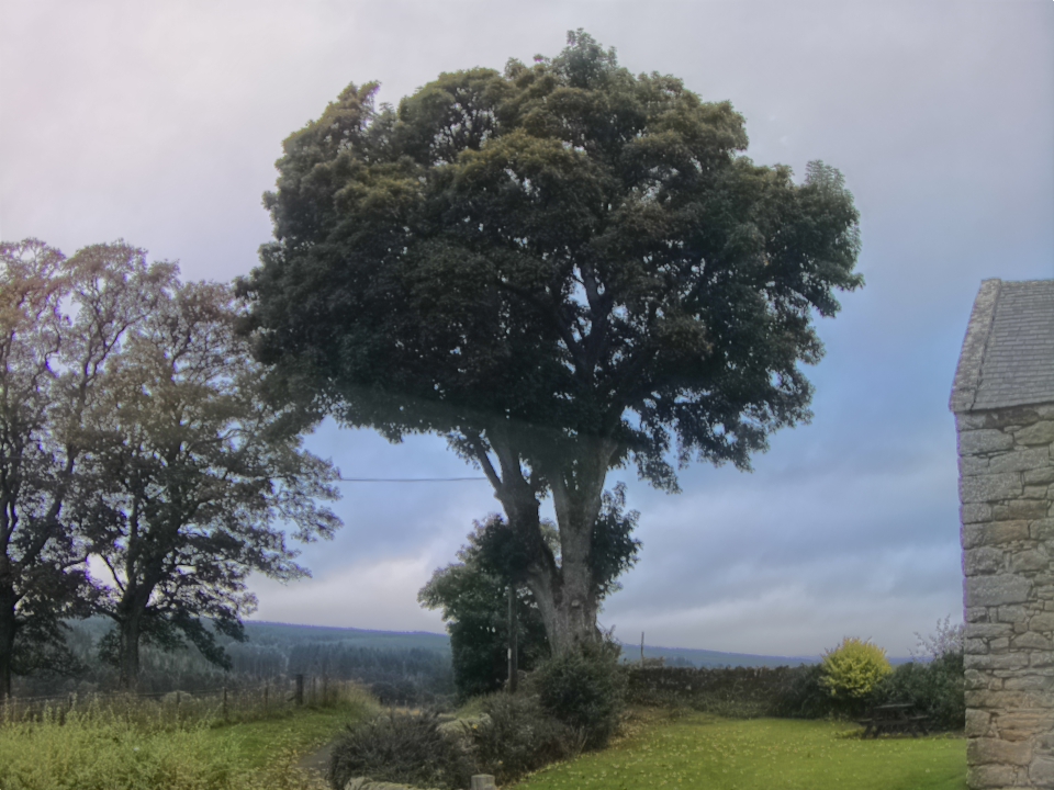Webcam photo for 08 hrs today