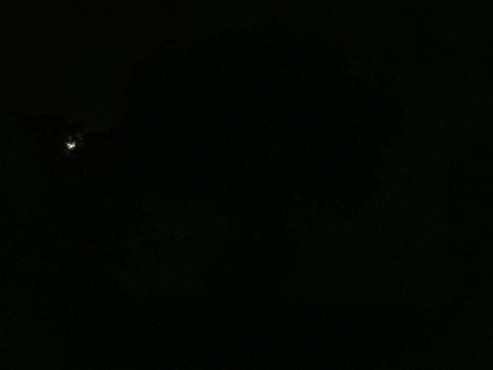 Webcam photo for 06 hrs today