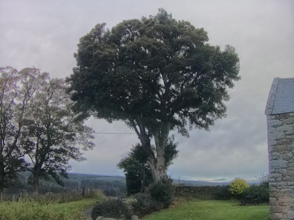Webcam photo for 08 hrs today