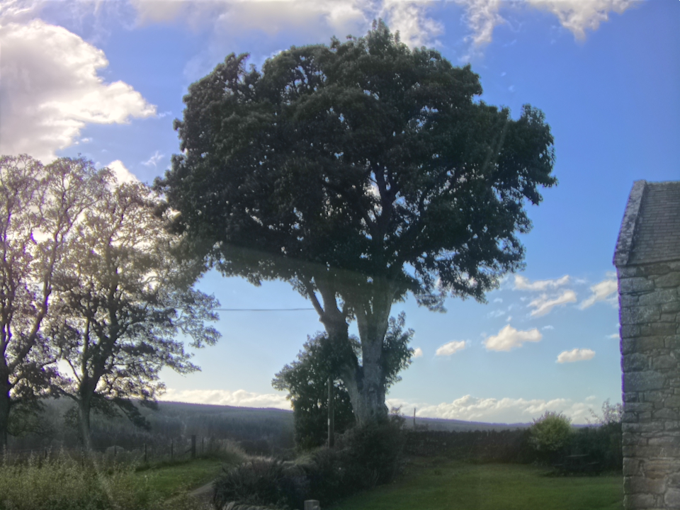 Webcam photo for 16 hrs today