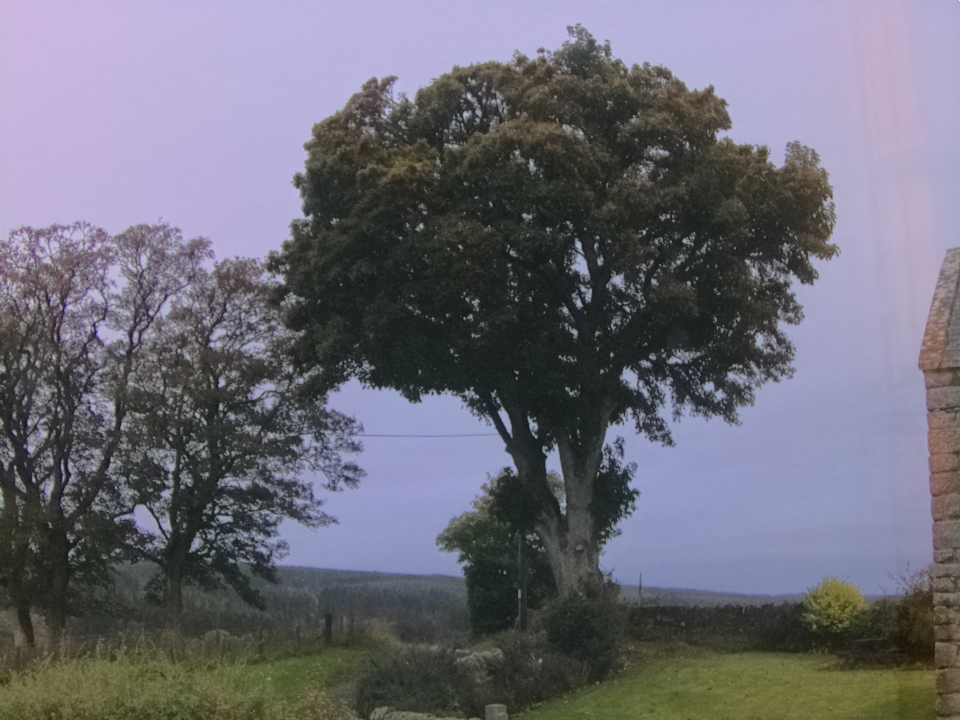 Webcam photo for 07 hrs today