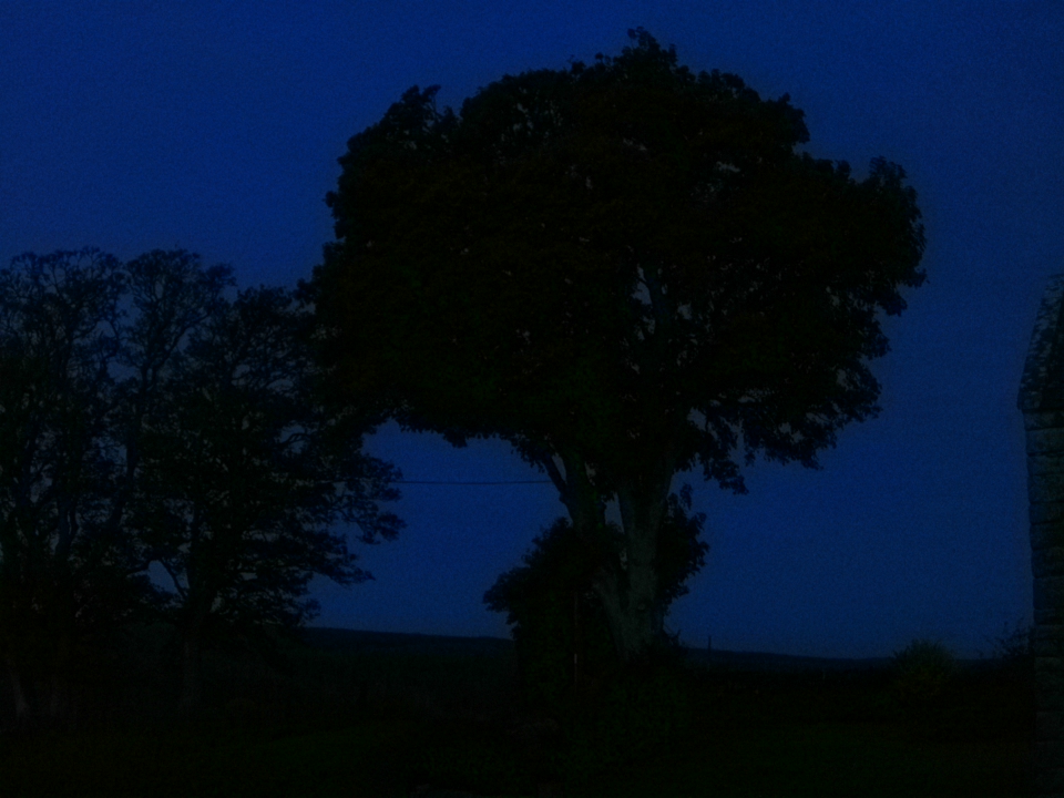 Webcam photo for 07 hrs today