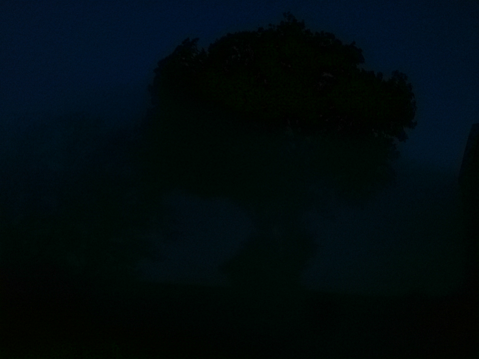 Webcam photo for 07 hrs today