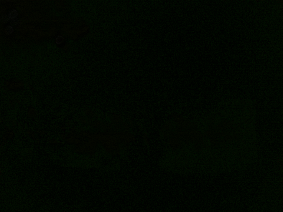Webcam photo for 04 hrs today