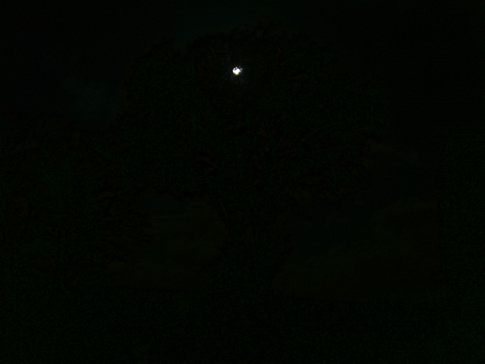 Webcam photo for 06 hrs today