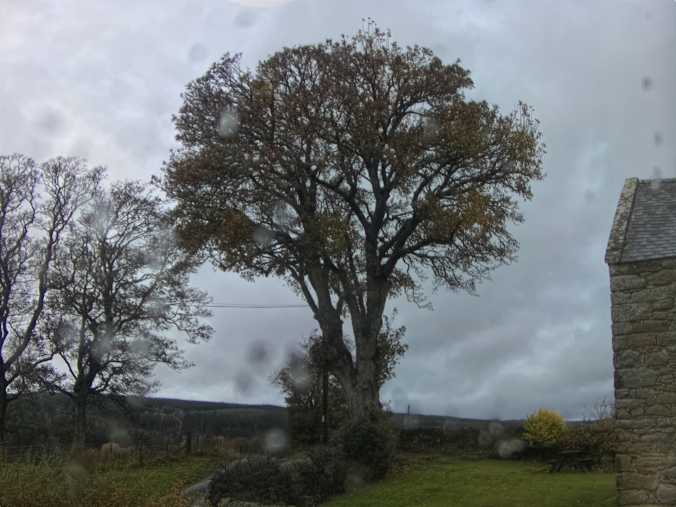 Webcam photo for 09 hrs today