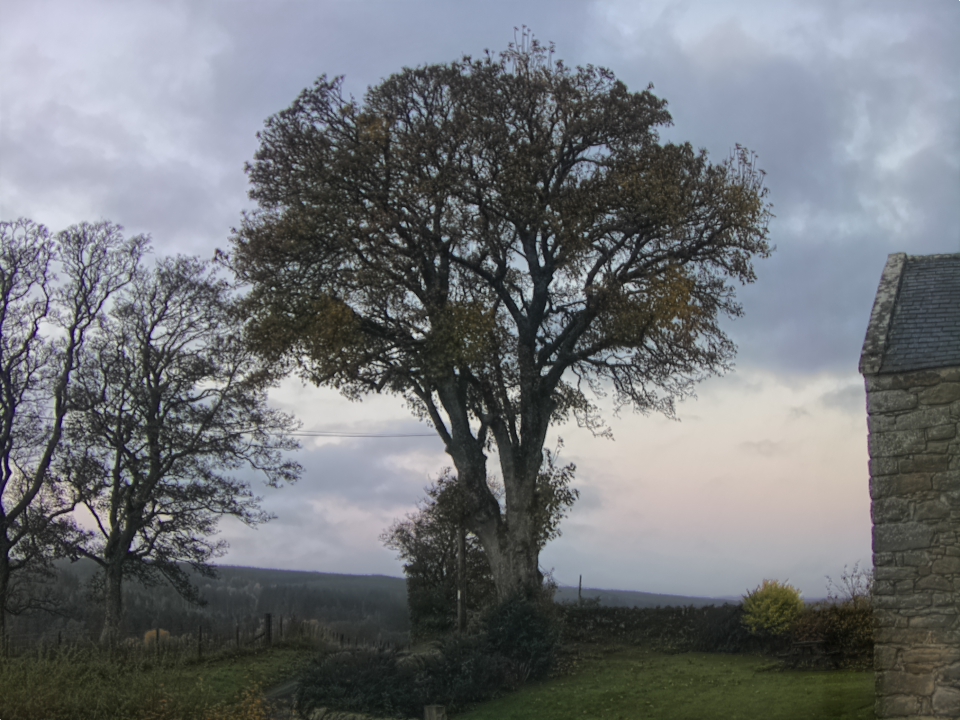Webcam photo for 07 hrs today