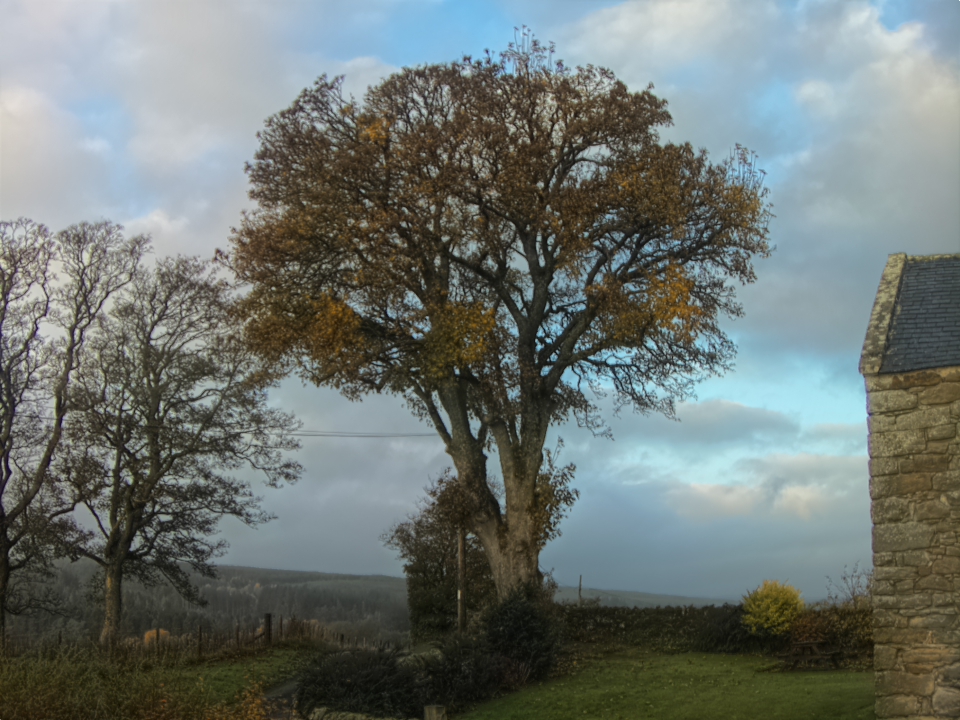 Webcam photo for 08 hrs today